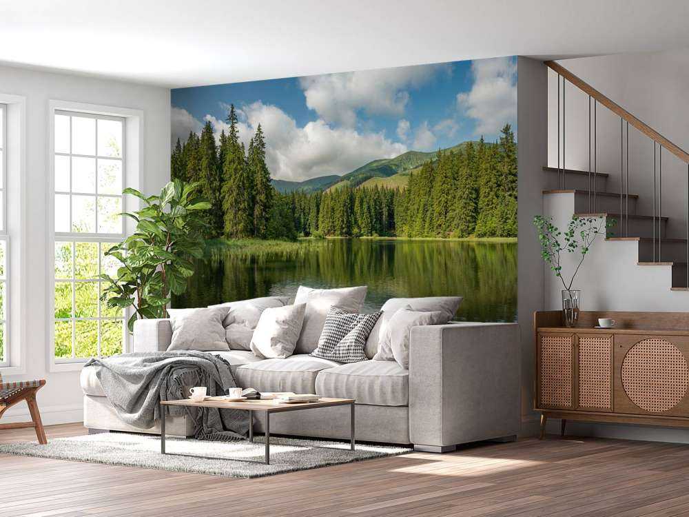 Lake in the forest