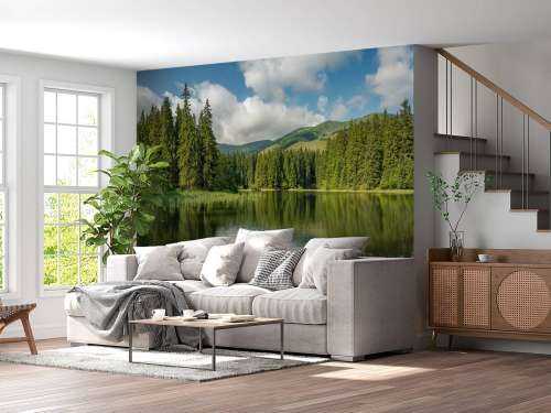 Lake in the forest