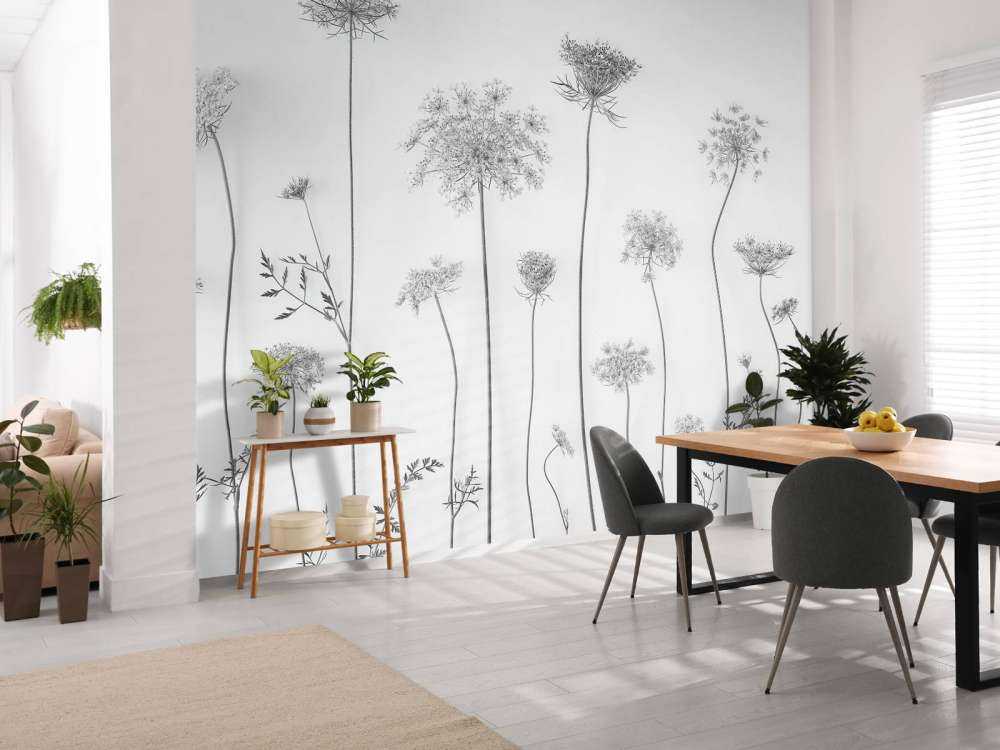 Cow parsley in black and white