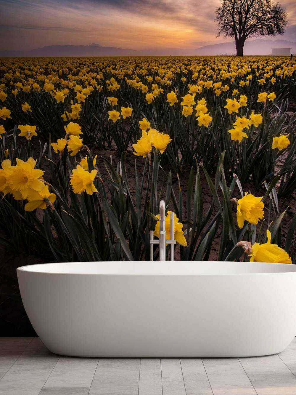 Field with daffodils