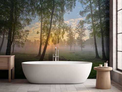 Sunrise by the birches