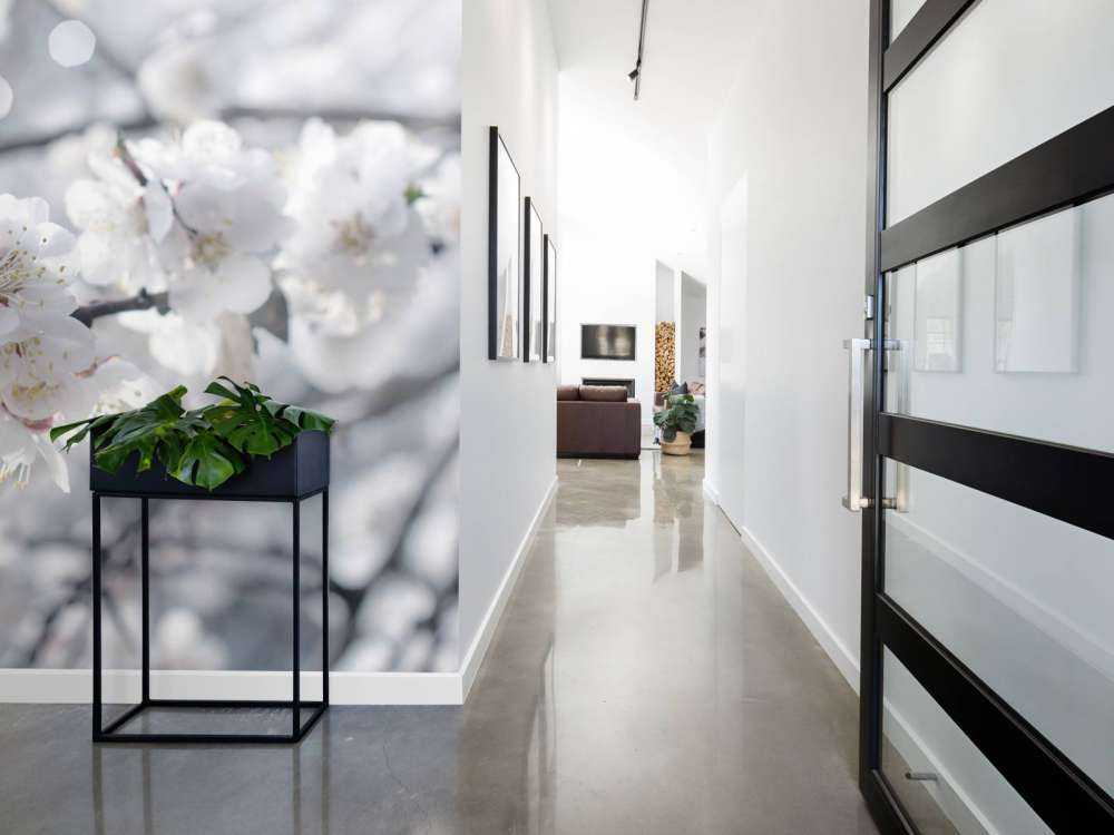 Butterfly with white blossoms