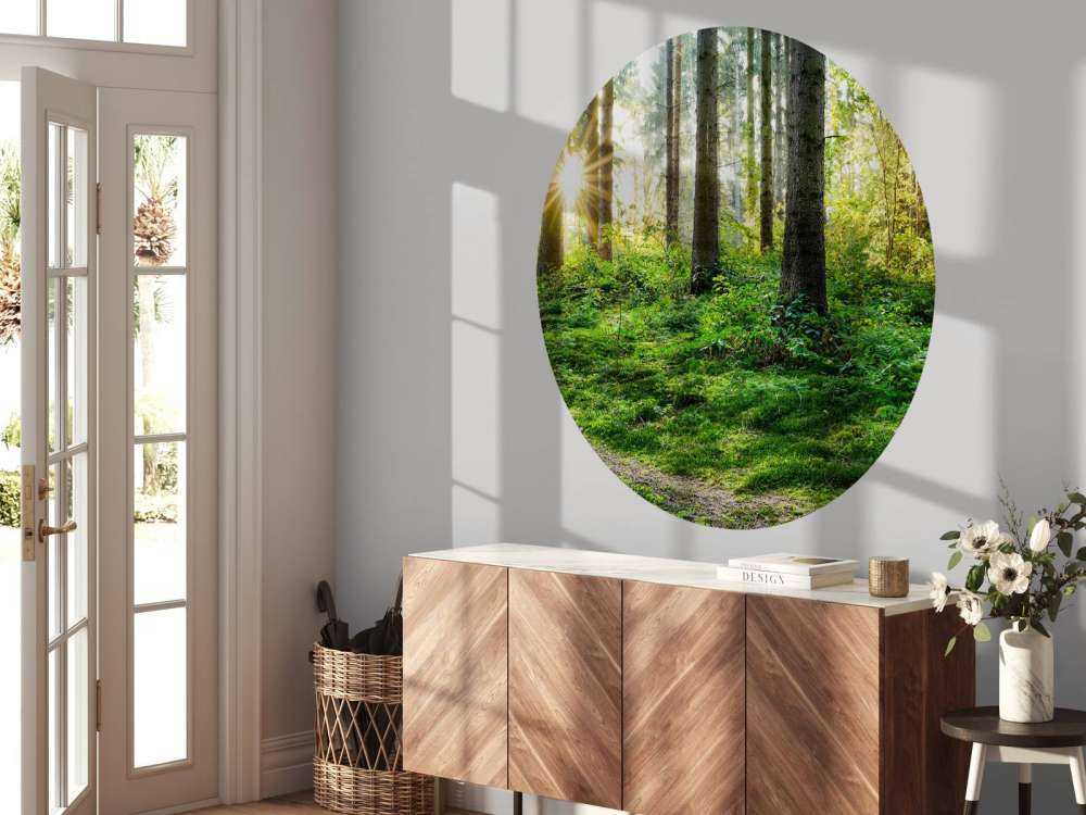 Forest panorama in spring