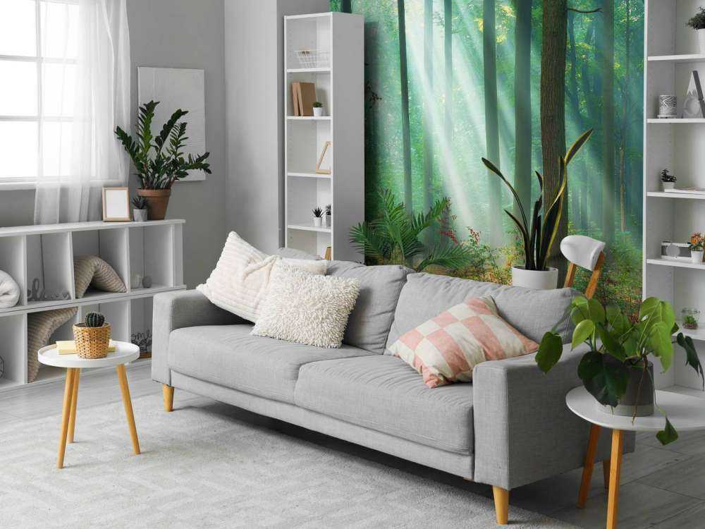 Morning in the woods