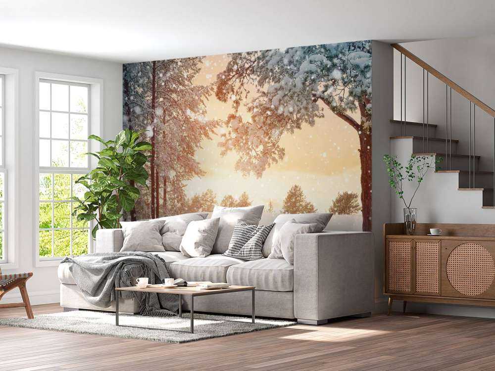 Pine trees with snow