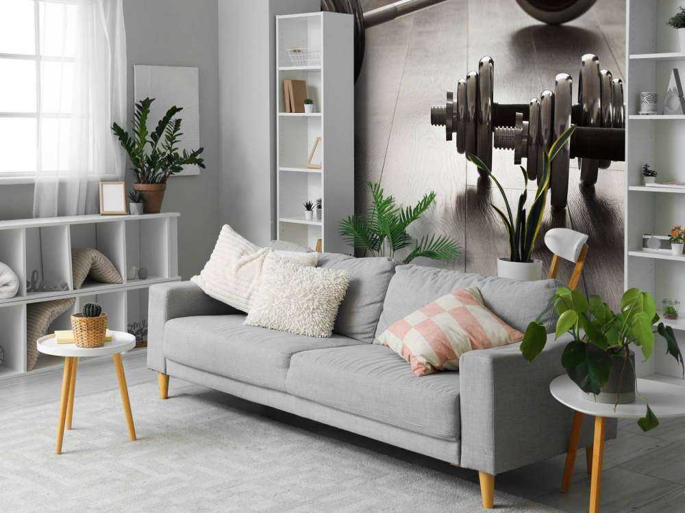 Dumbells and weights