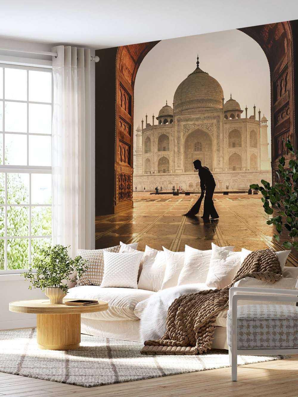 Taj mahal cleaner