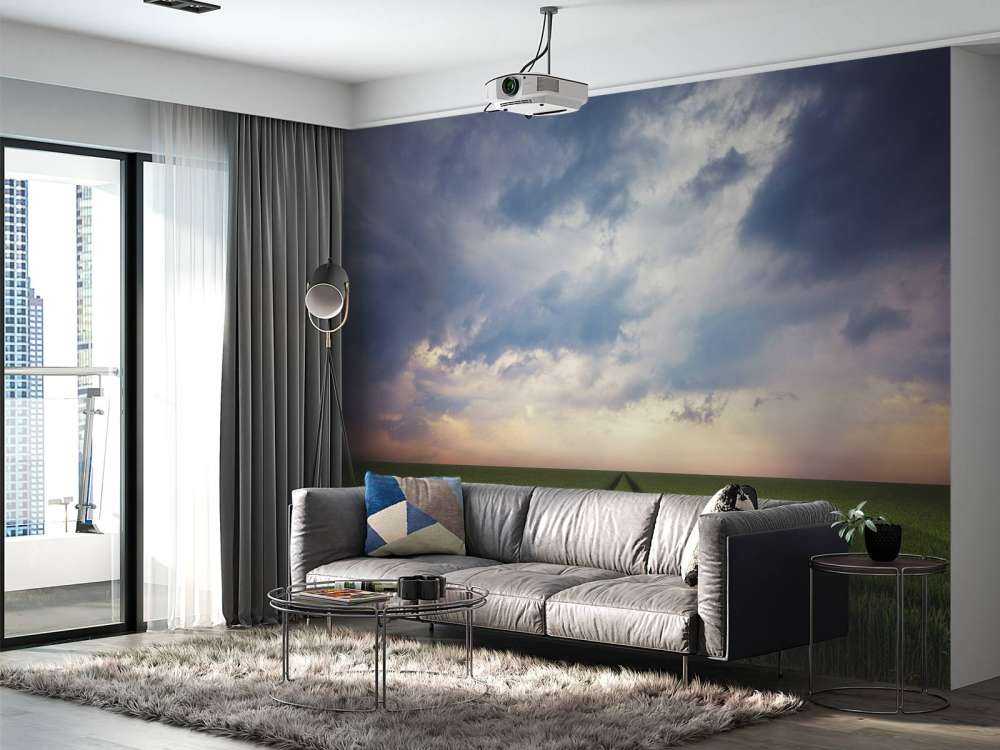 Tracks in wheat field