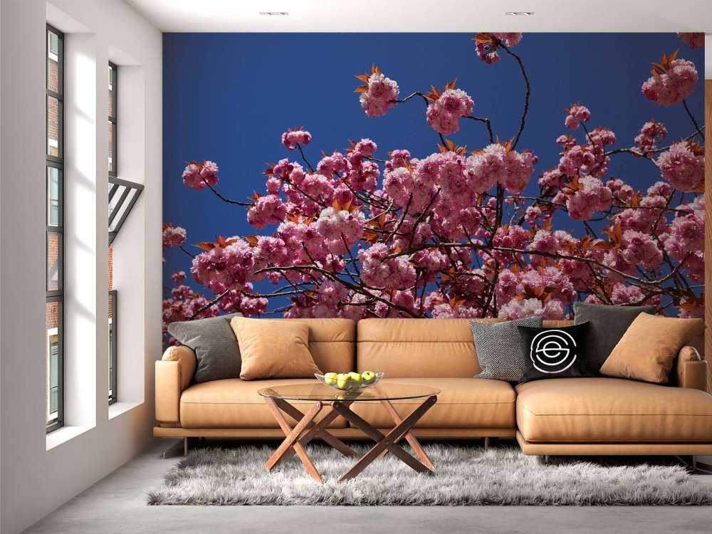 Pink blossom with blue sky