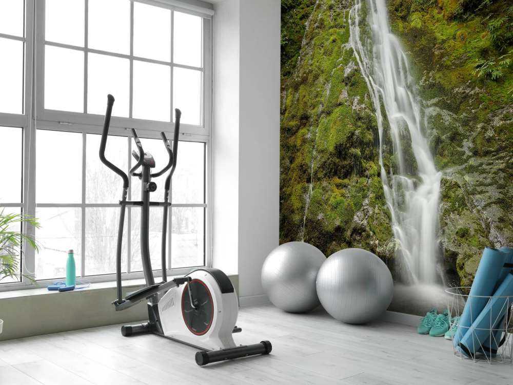 Waterfall with beautiful greenery