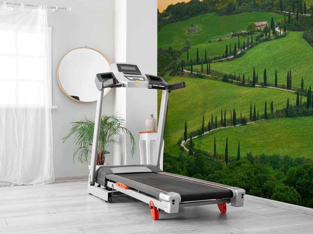 Winding road with cypresses