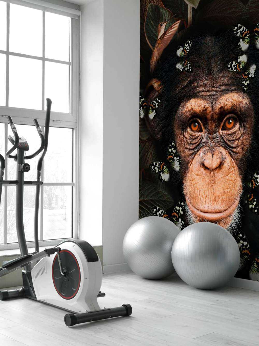 Tropical Chimpanzee Portrait