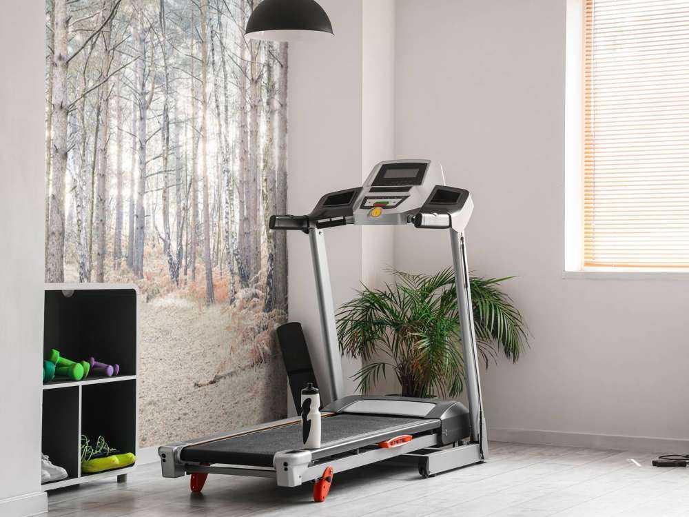 Sand path through forest