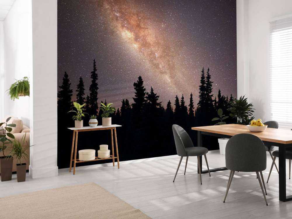 Milky way above silhouette of trees