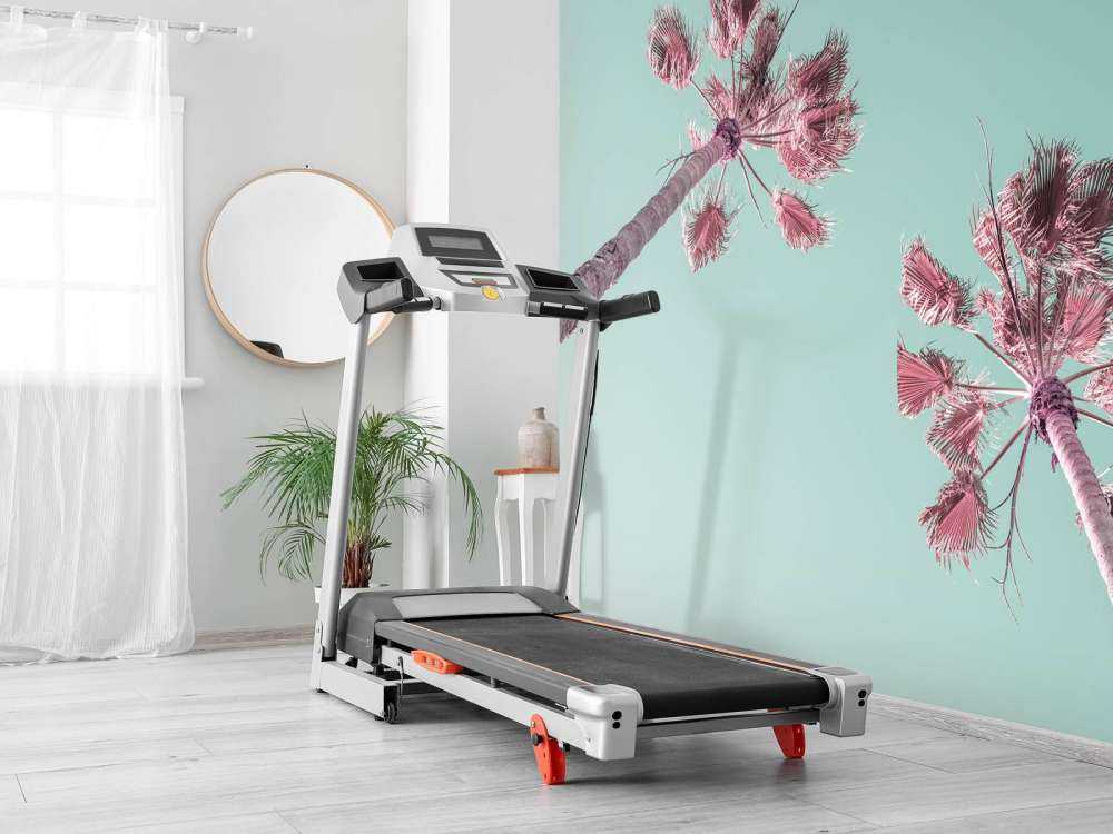 Palm trees during summer