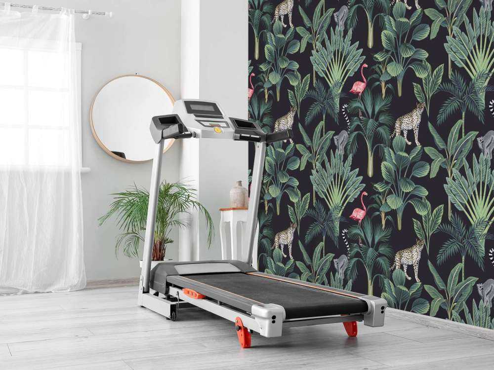 Tropical wild animals