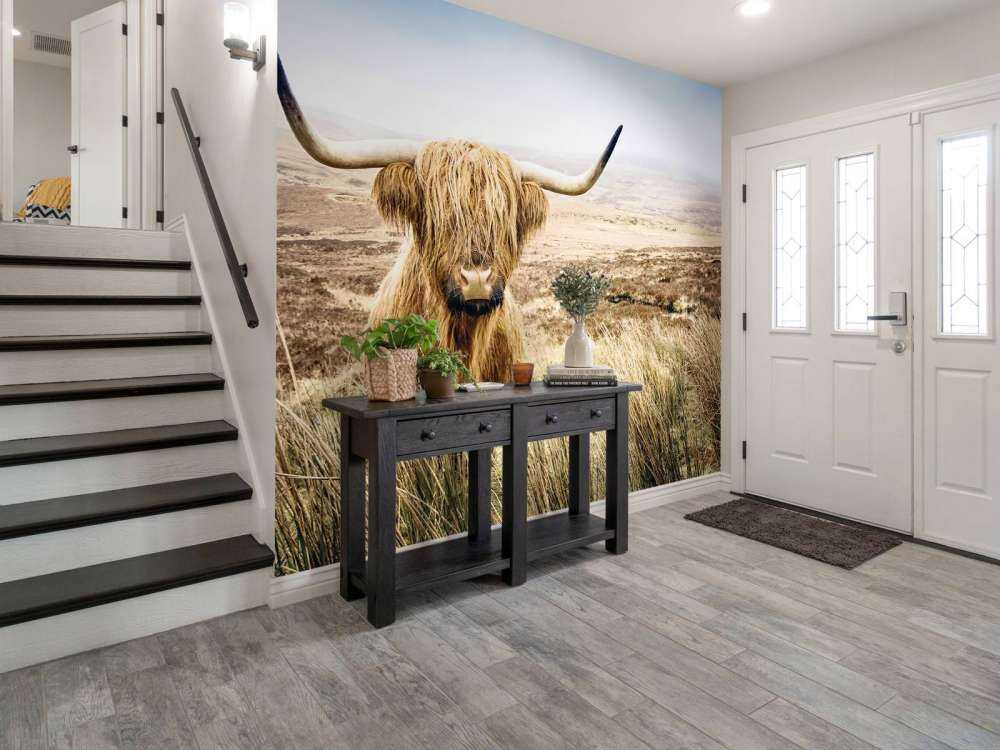 Scottish Highlander with reed