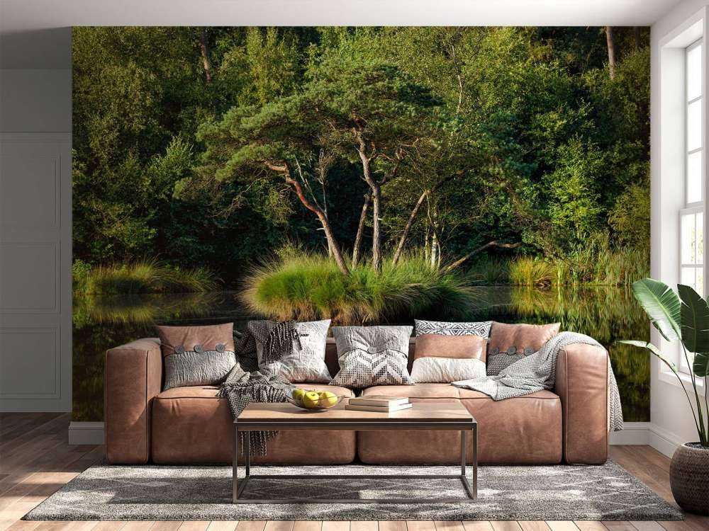 Island in forest lake