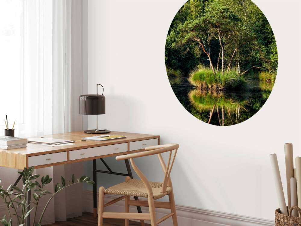 Island in forest lake