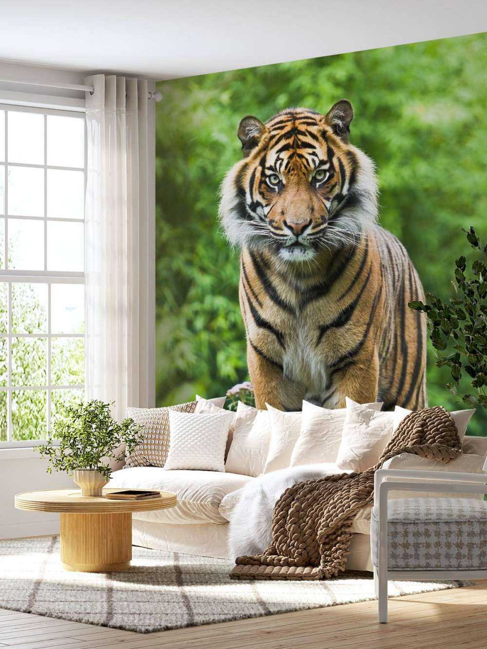 Tiger standing on a stone