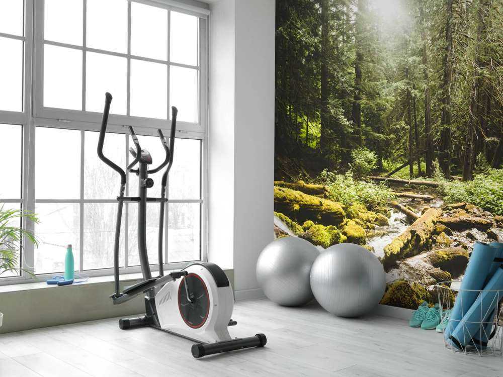 Waterfall in a forest