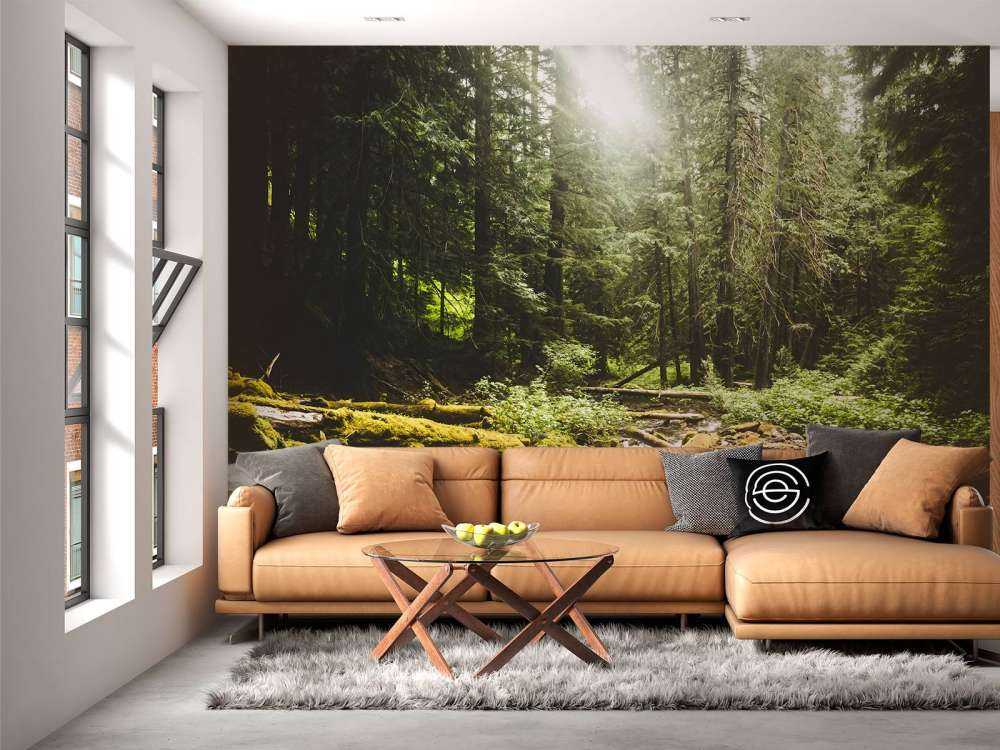 Waterfall in a forest