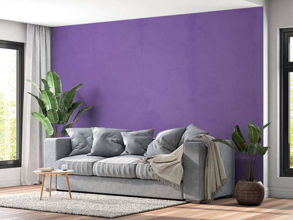 French lilac purple concrete