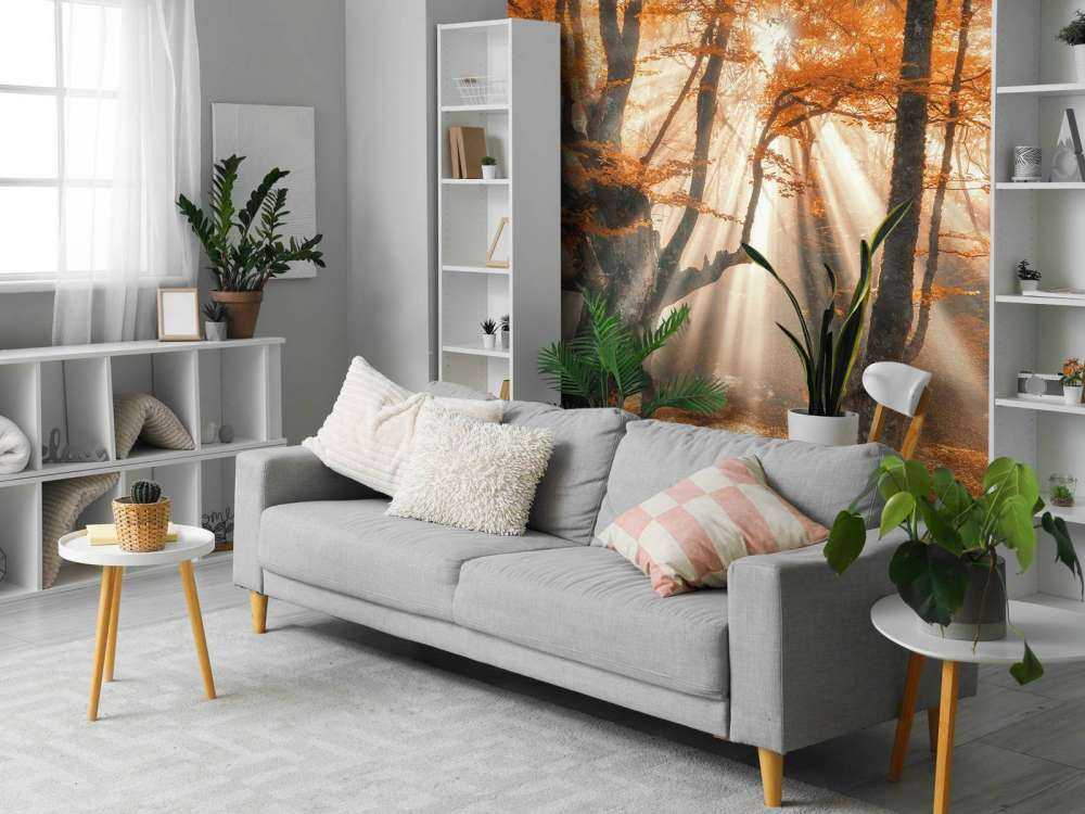 Magical Autumn Forest