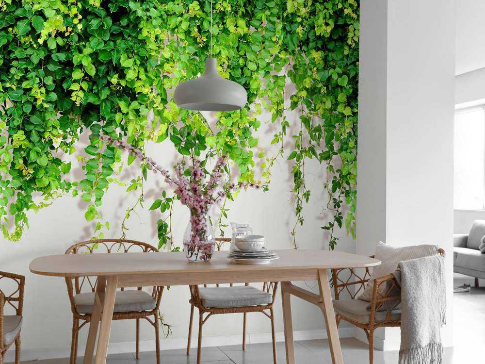 Green hanging branches