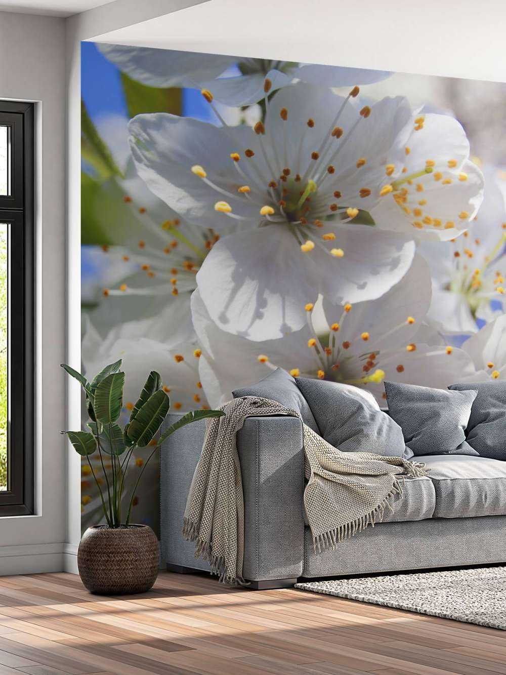 Close-up white blossoms