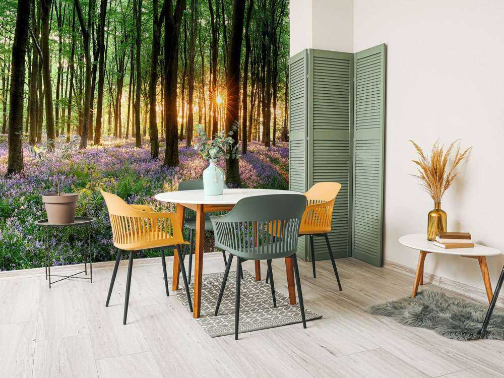 Forest path at sunrise