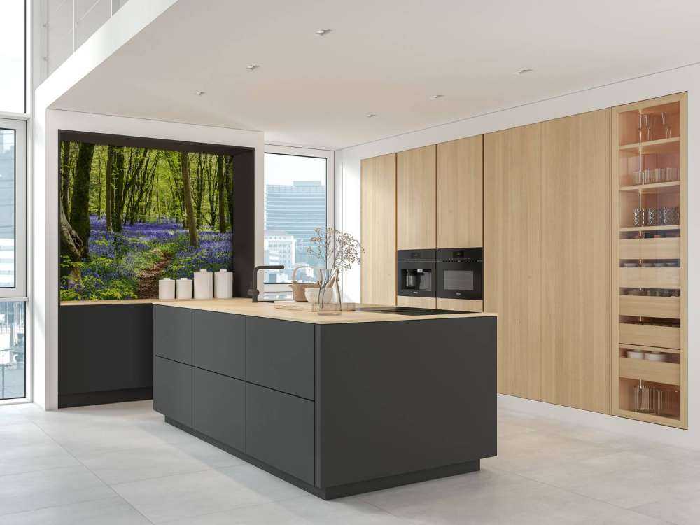 Forest in the sunlight