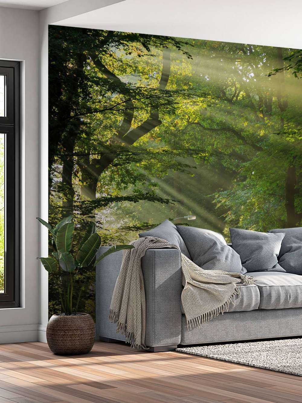 Sunbeams through the trees