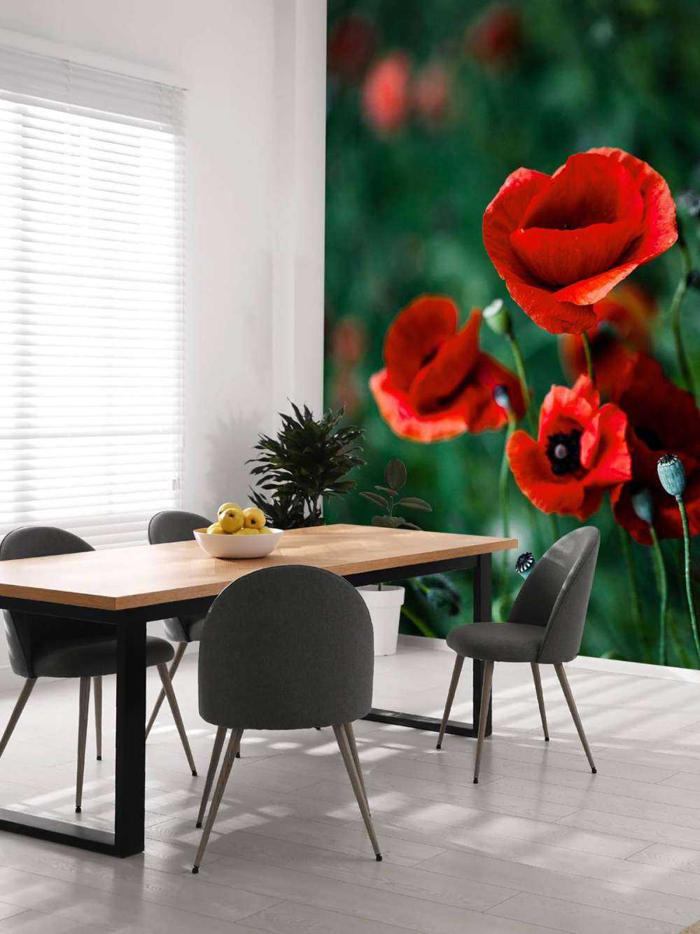 Poppies and grass