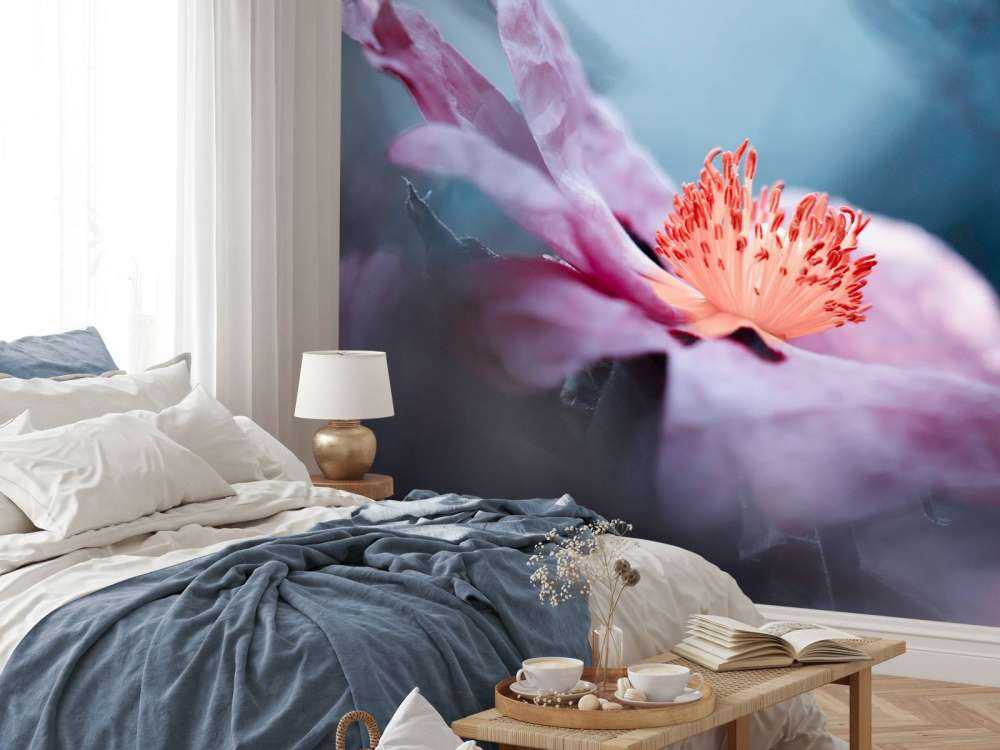 Even flowers have stories to tell