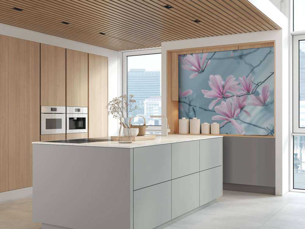 Magnolia flowers