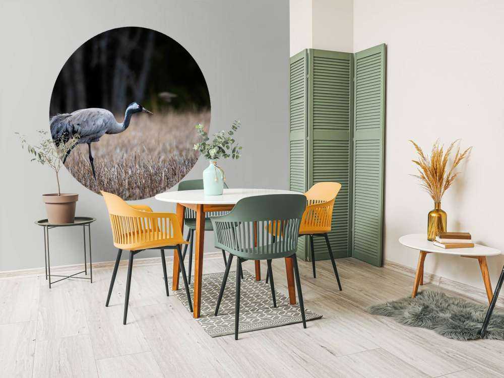 Lopende kraanvogel