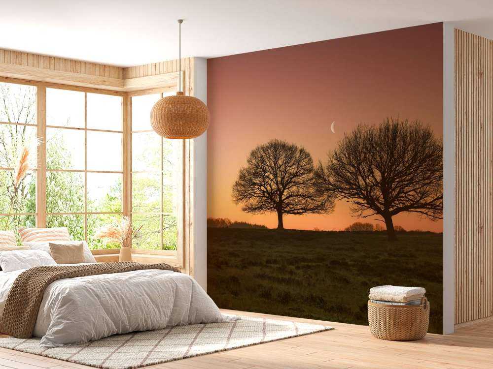 Moon between the trees