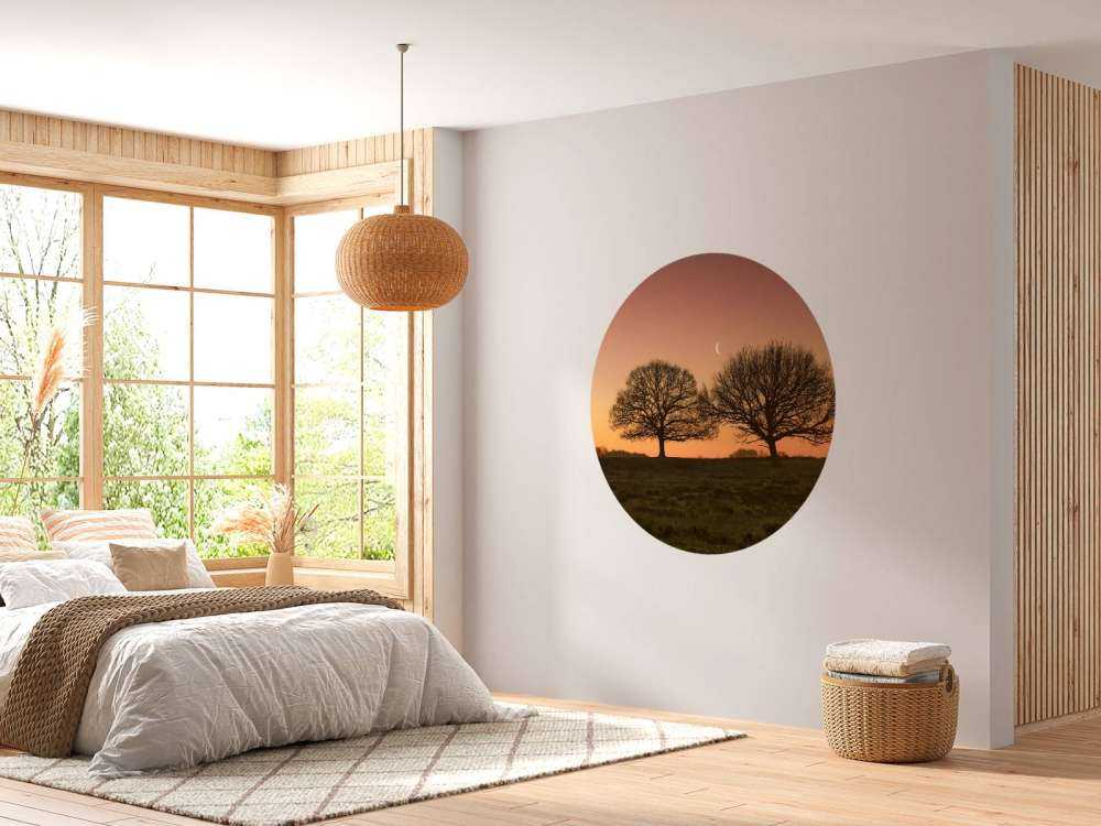 Moon between the trees