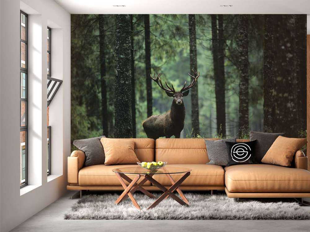 Big deer between trees