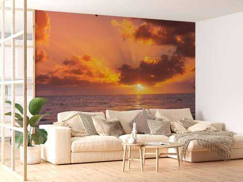 Beautiful orange sunset