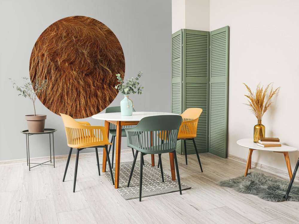 Vintage Scottish Highlander coat