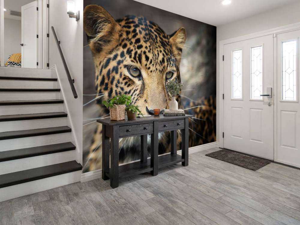 Close, up of a leopard