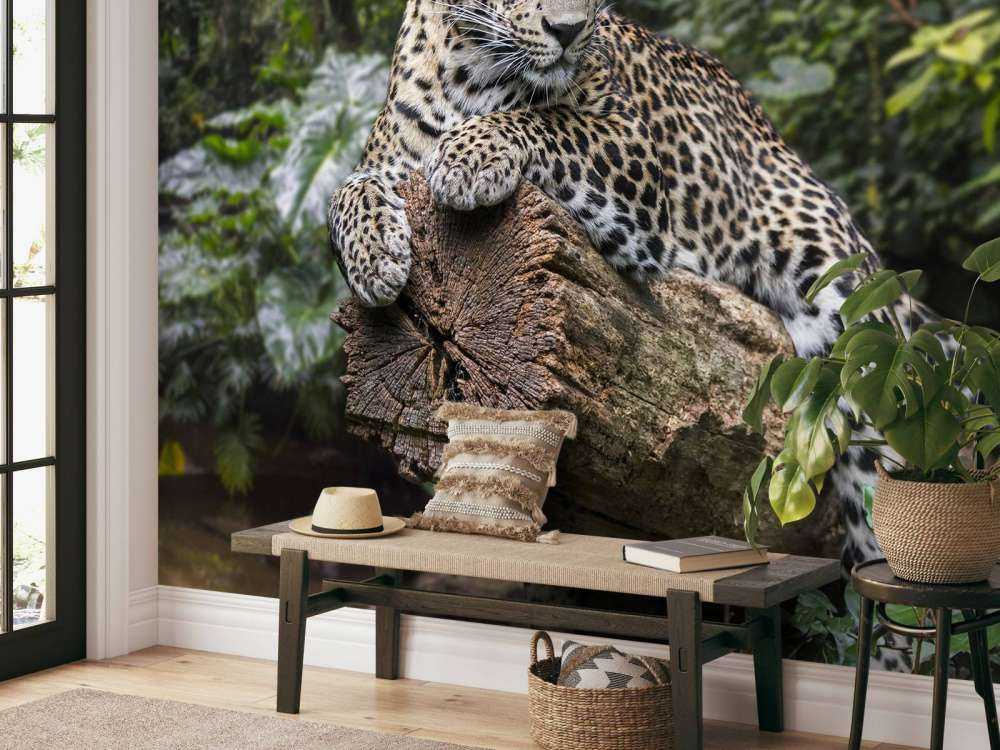 Leopard on tree