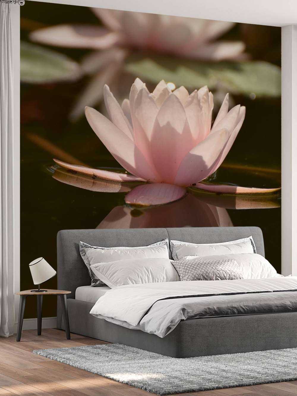 Lotus flower in water