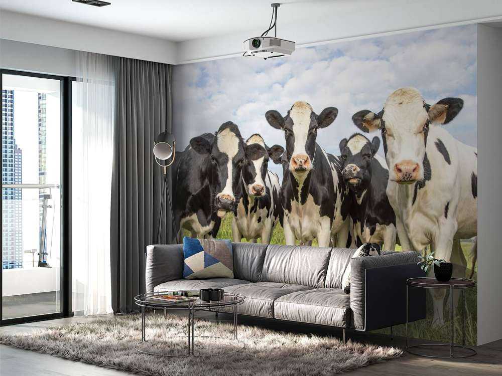 Herd with cows