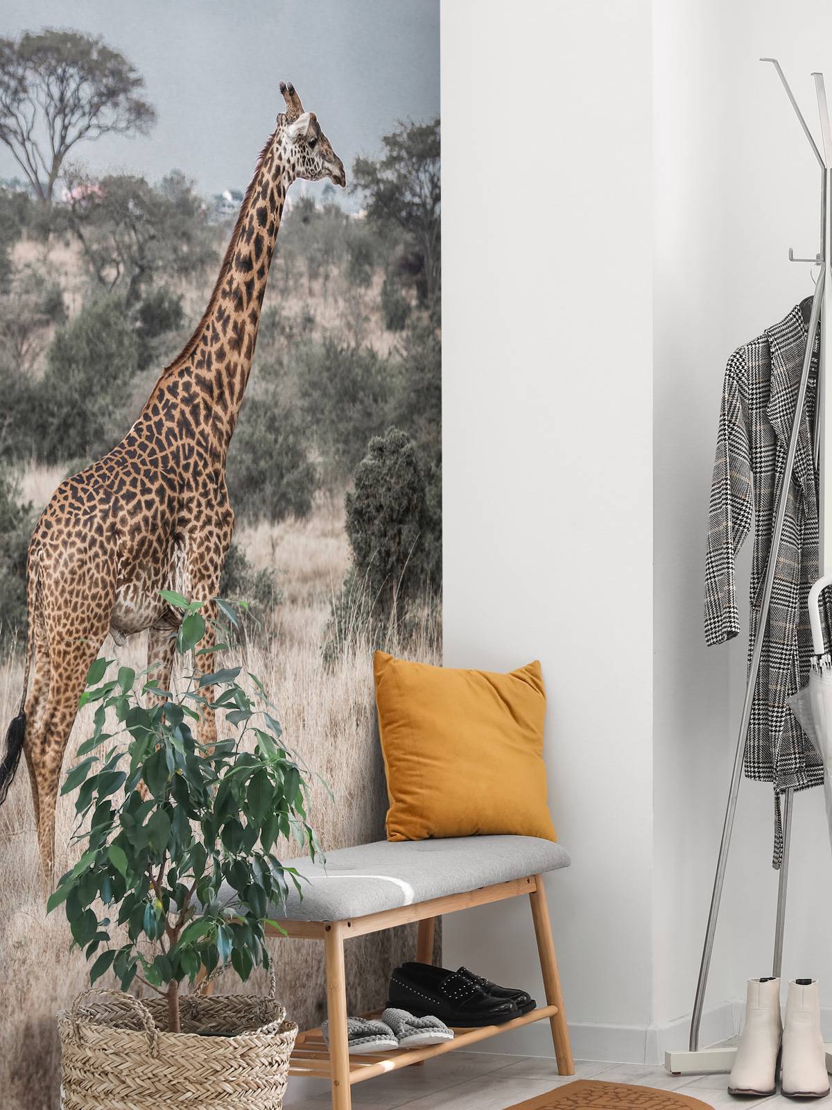 Giraffe Portrait