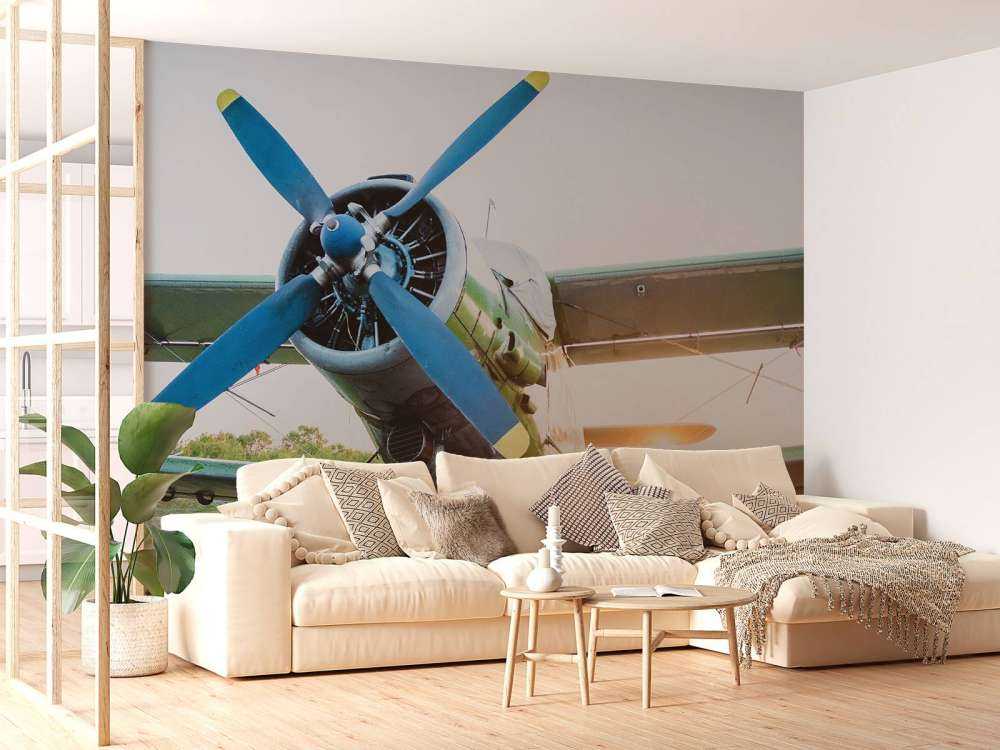 Small single-engine private plane