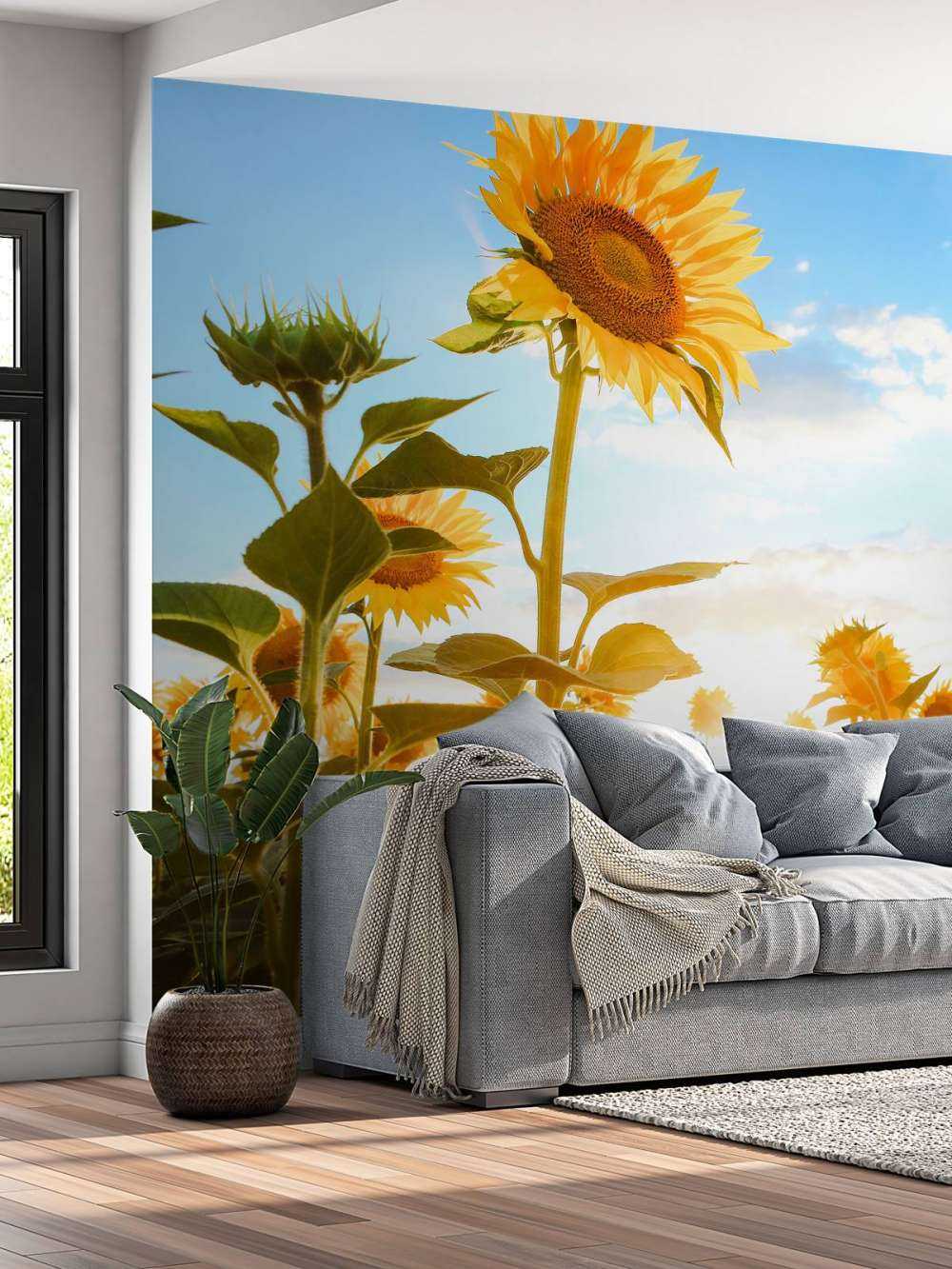 Sunflower with blue sky