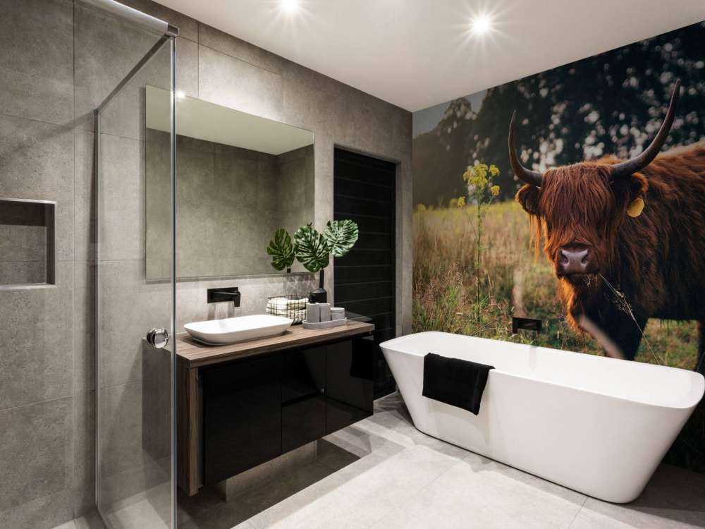 Scottish highlander in the high grass